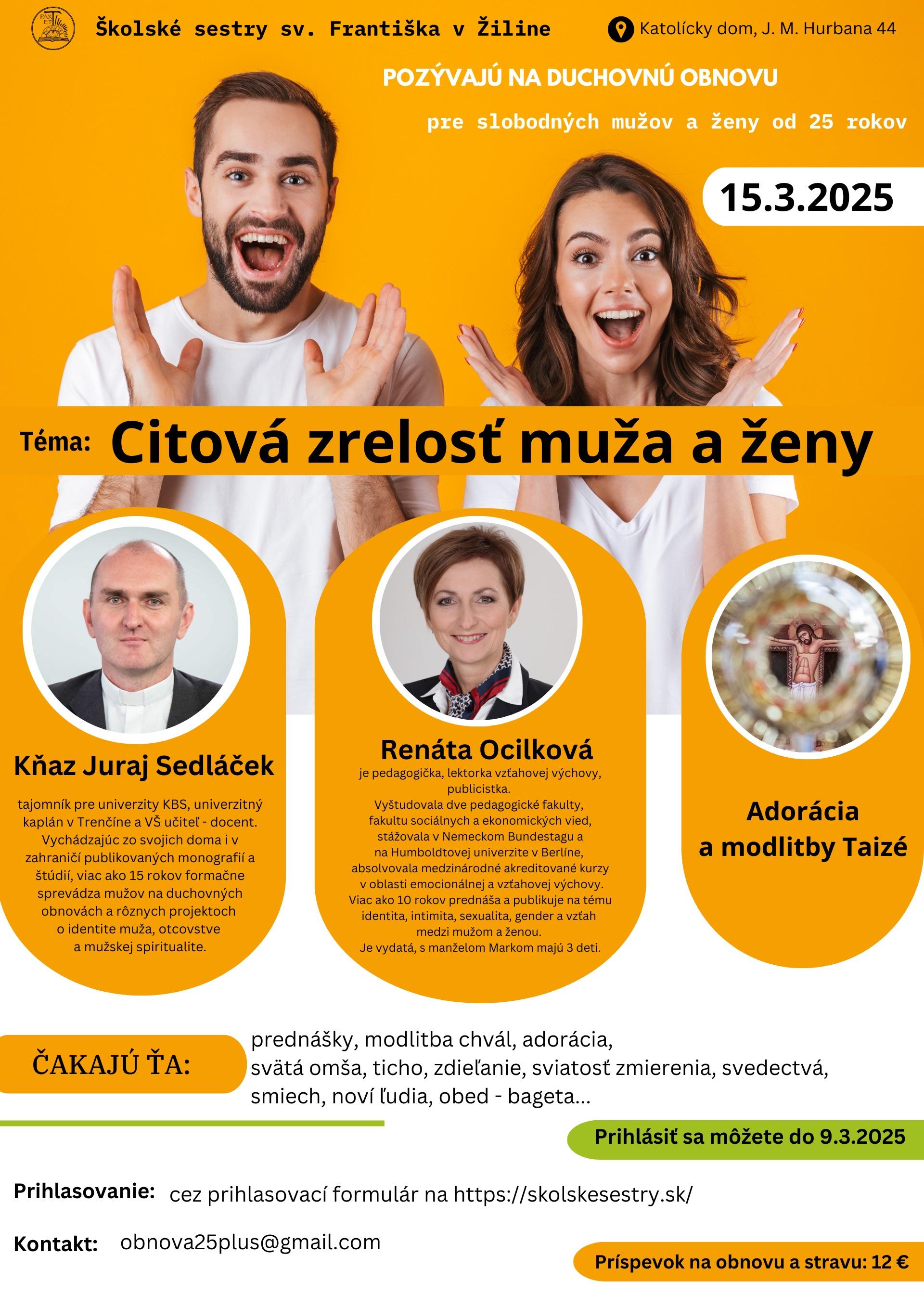 Žilina, obnova, plagat