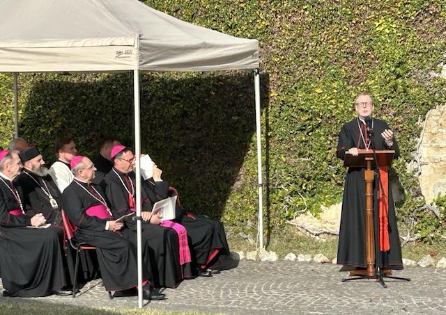 Rím, mozaika, odhalenie, Gugerotti