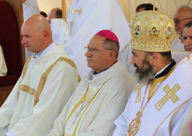 Nitra Omsa Bober Maxim